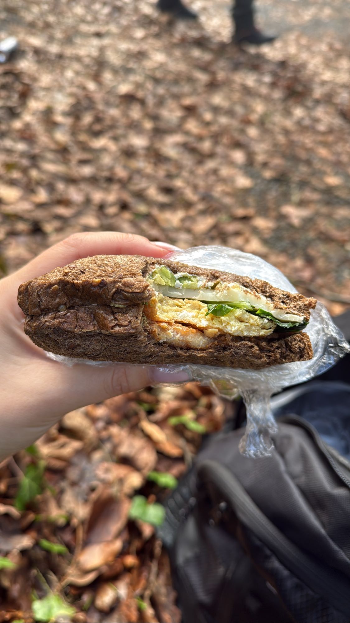 Sandwich complet œuf