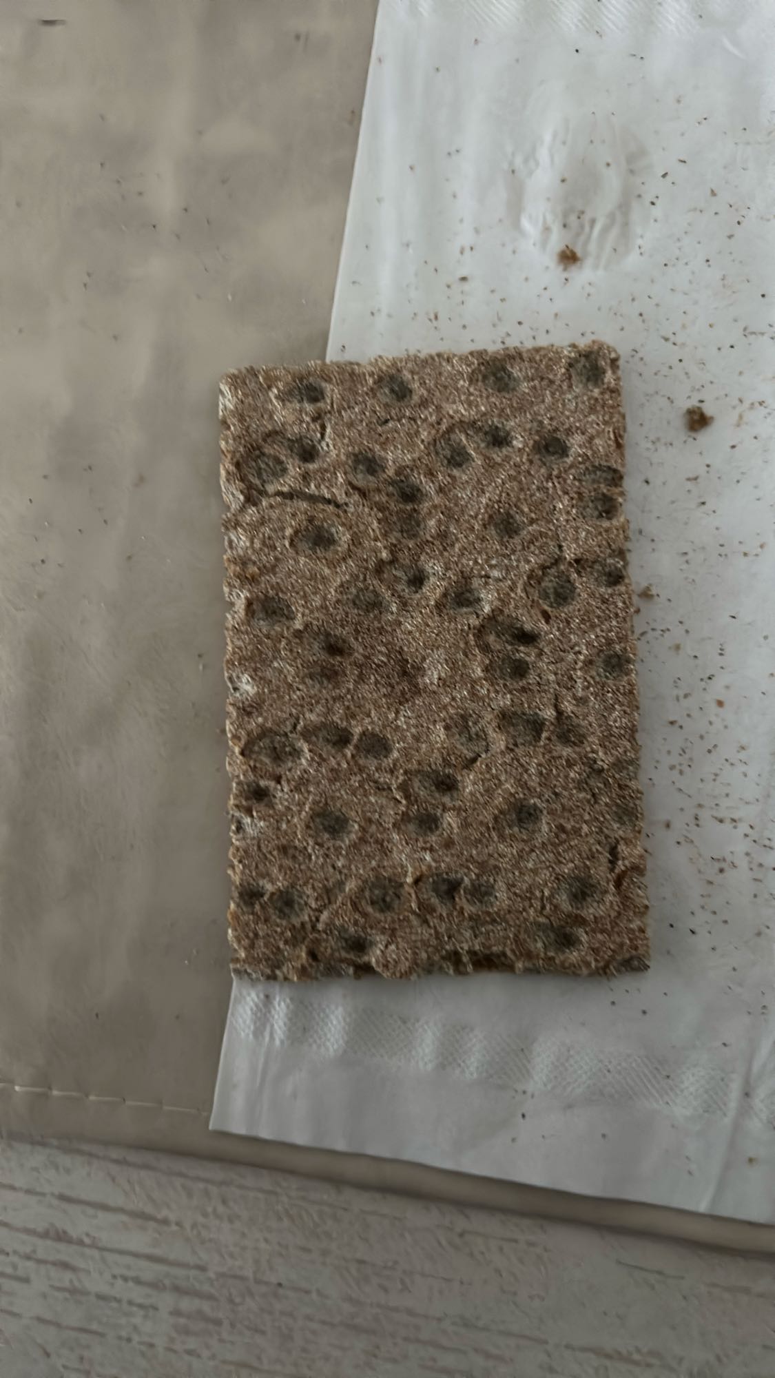 pan crujiente integral