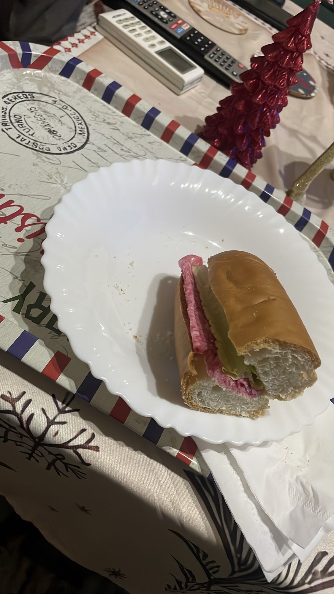 Salami Sandwich