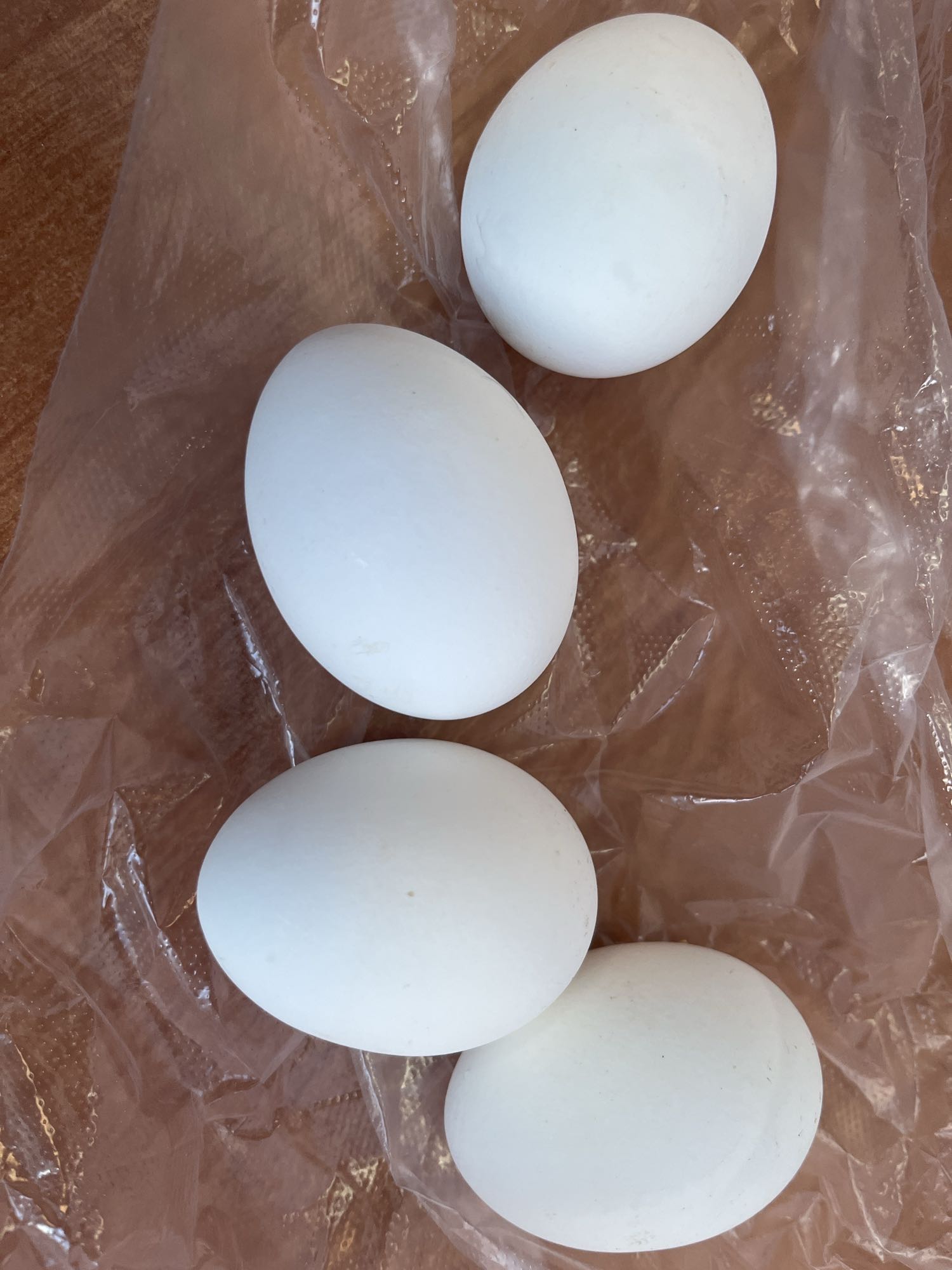 варёные яйца