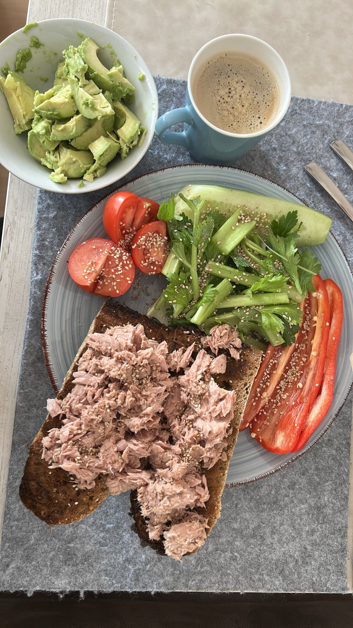 Tostadas con atún y ensalada