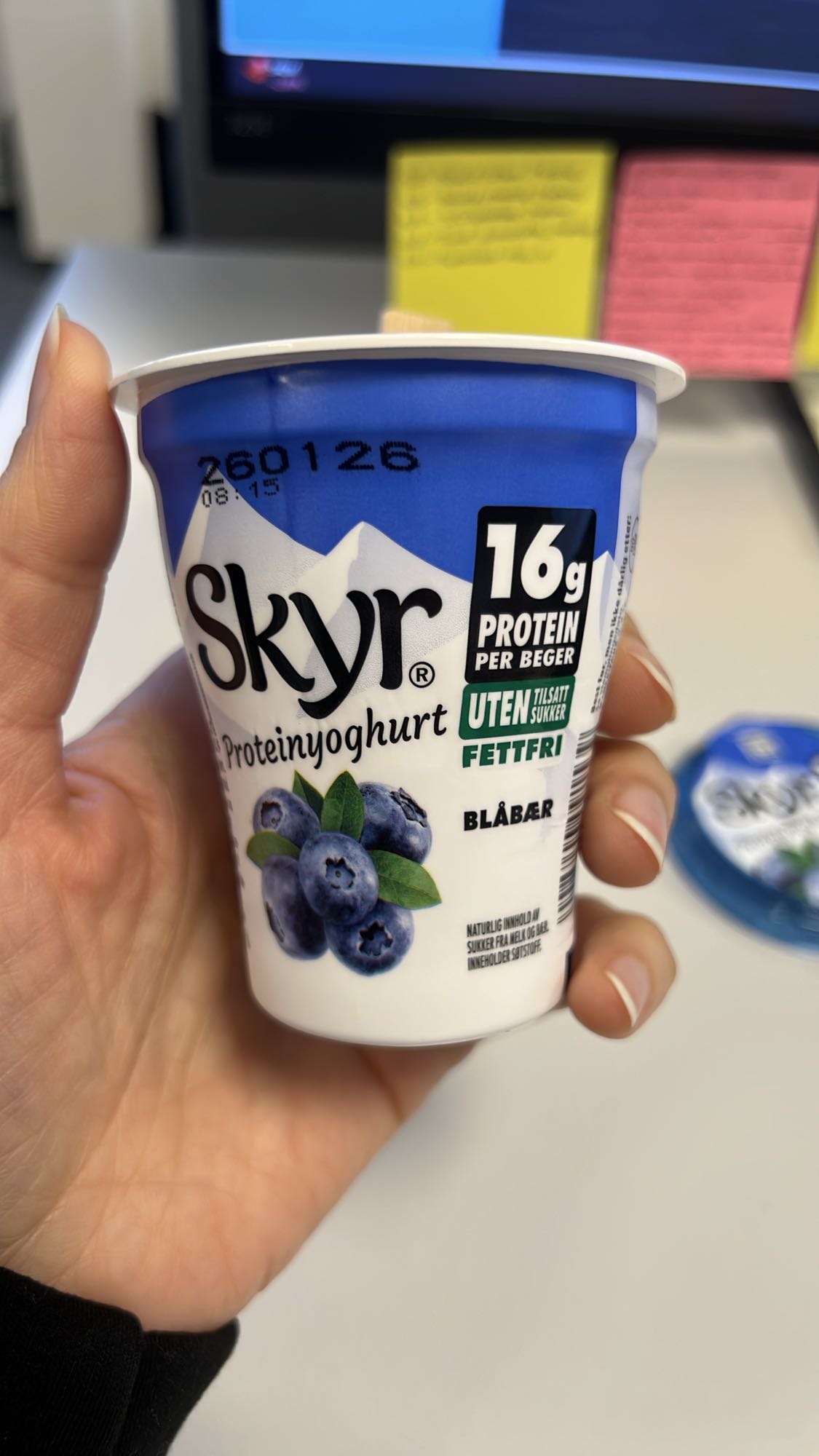 Blueberry Skyr Yogurt
