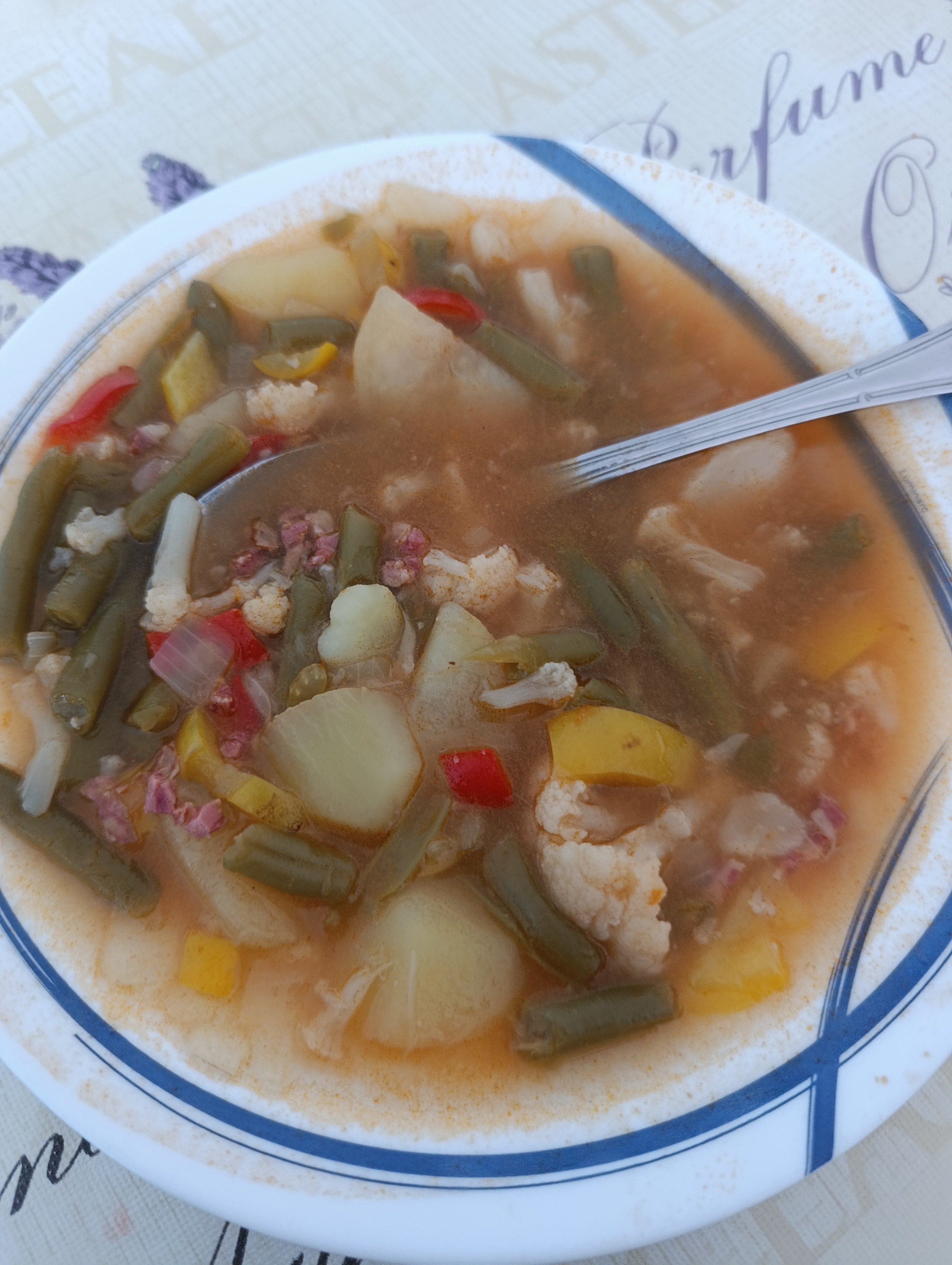 Sopa de verduras casera