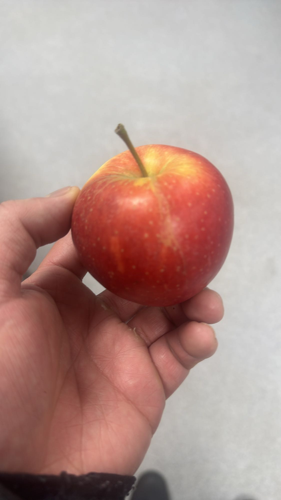 Röd äpple