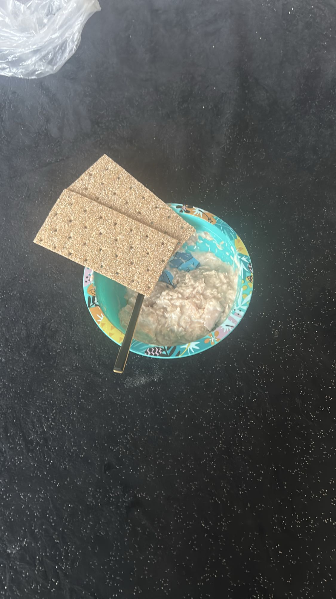 Knäckebröd met tonijnsalade