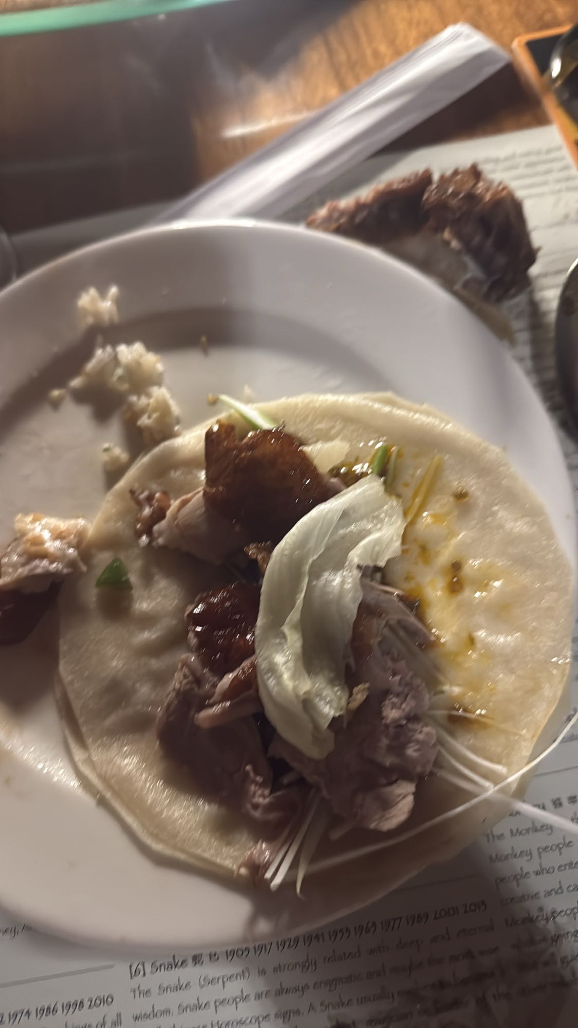 Duck wrap with veggies