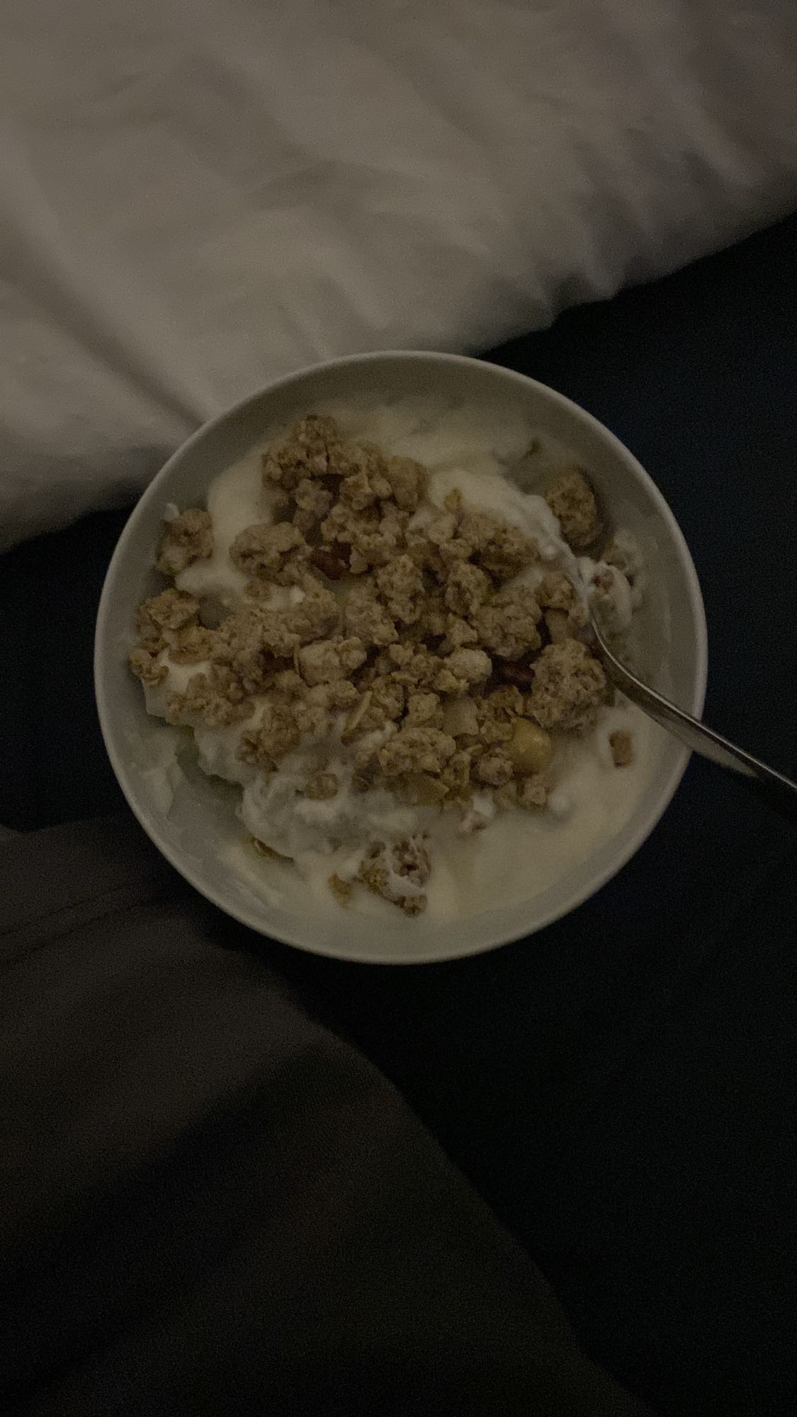 Skyr lav fedt med granola