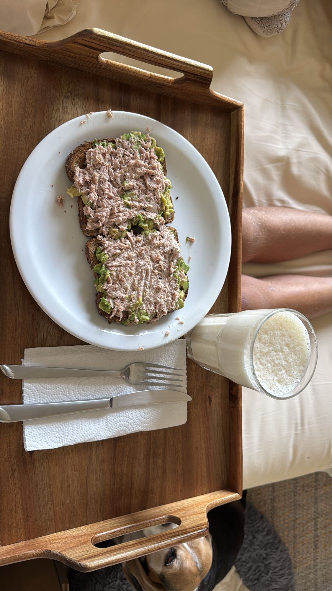 Tostadas con atún y batido
