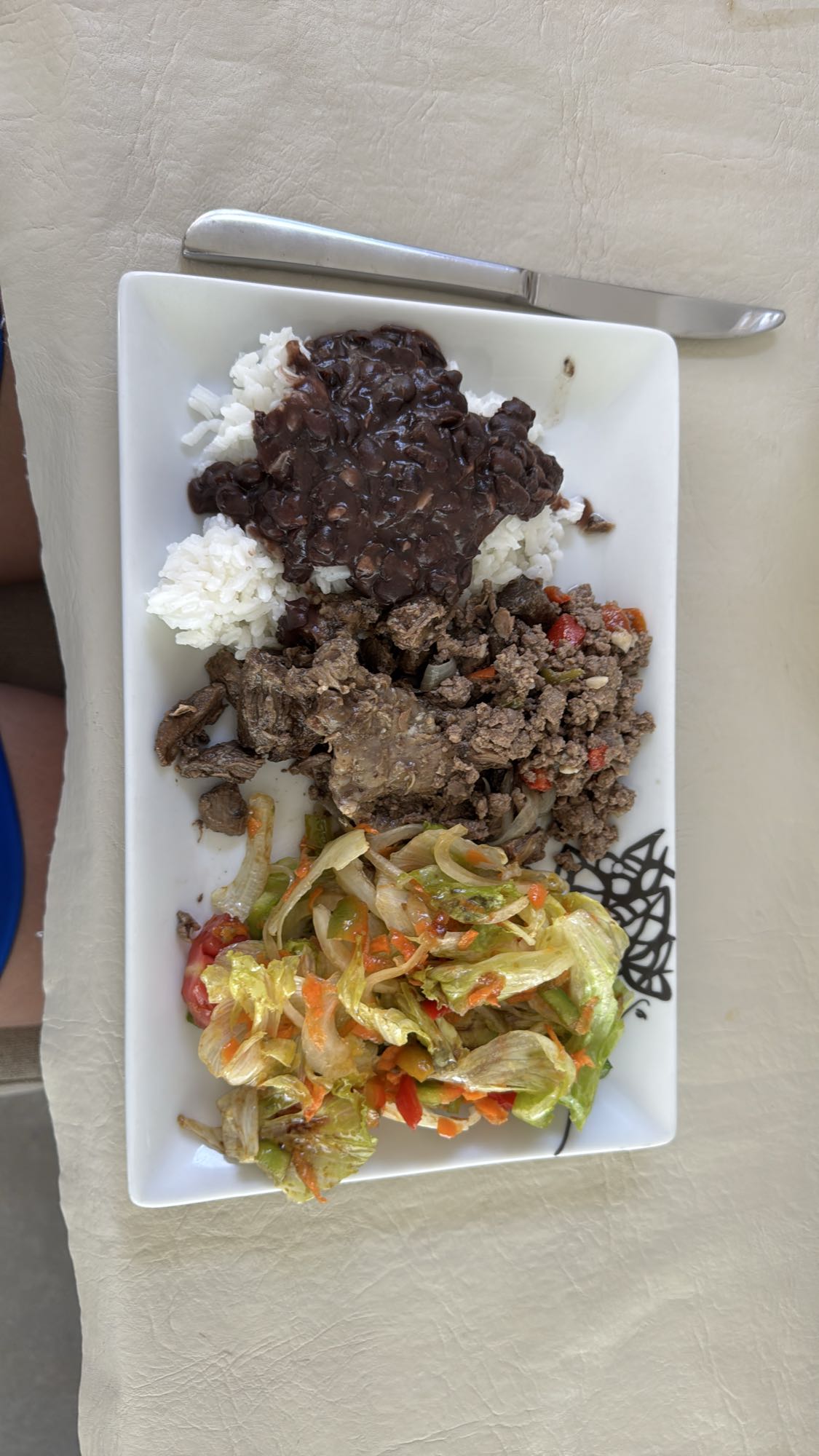 arroz, frijoles, carne y ensalada