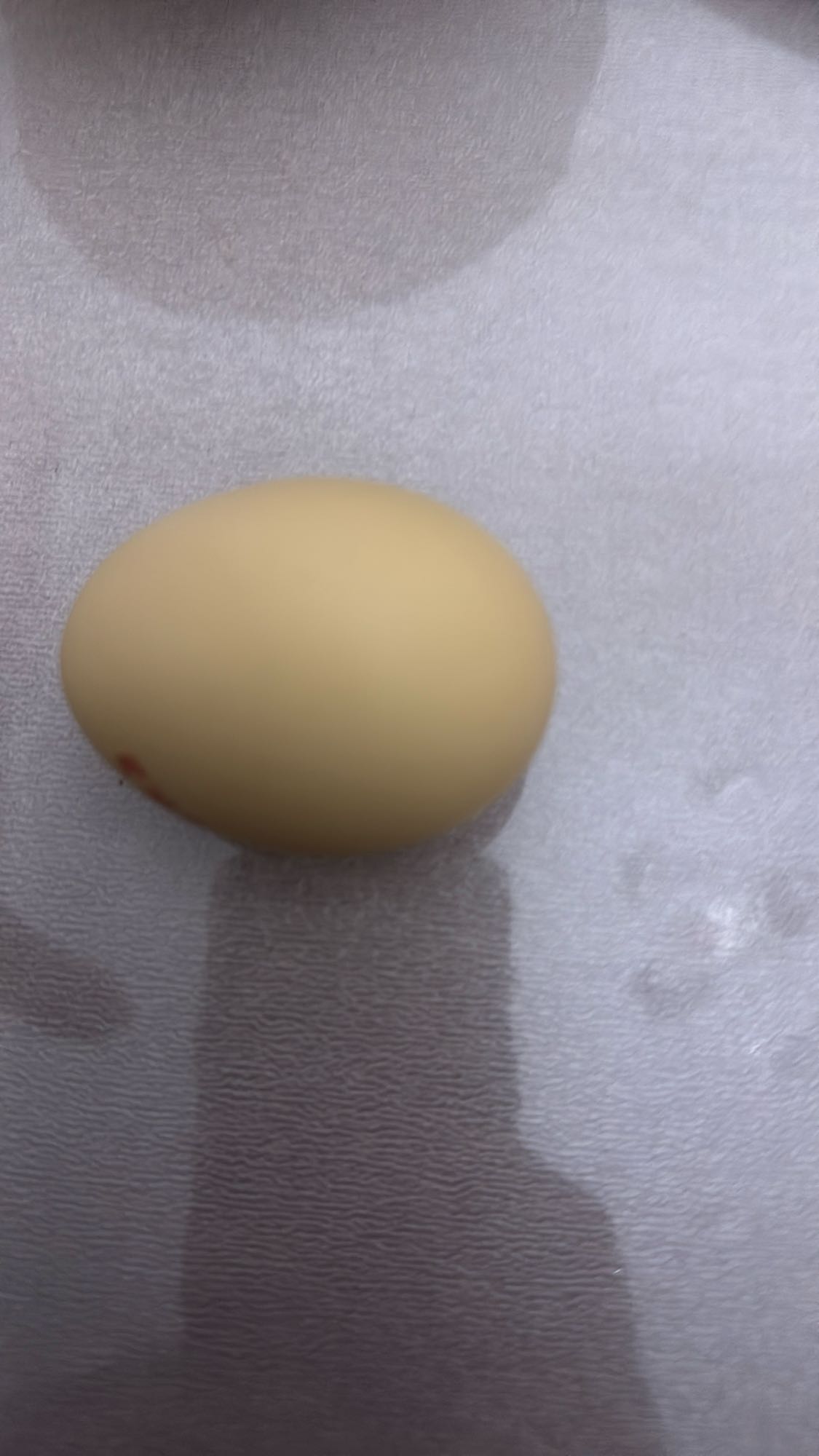 варёное яйцо