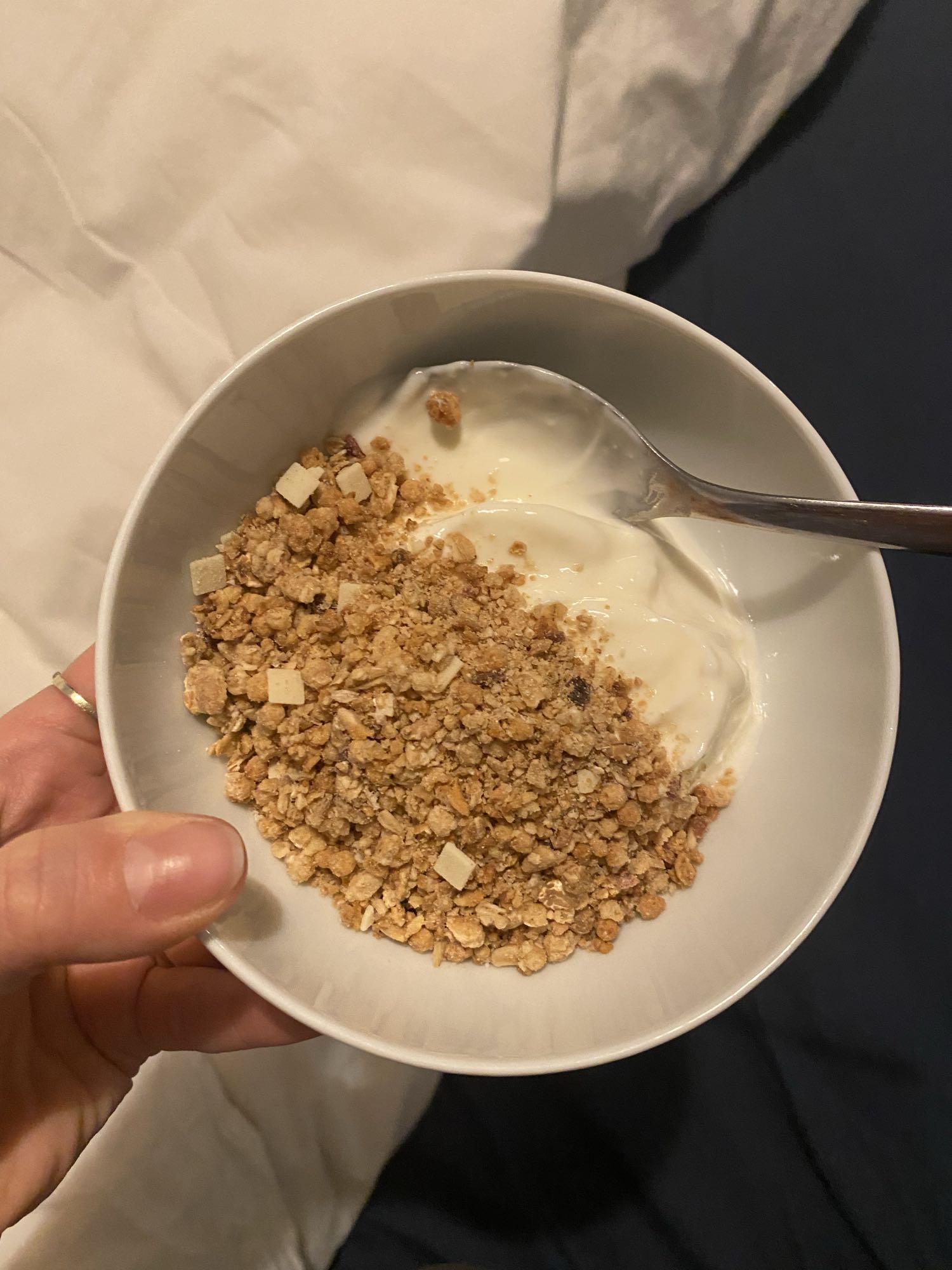 Yoghurt med müsli
