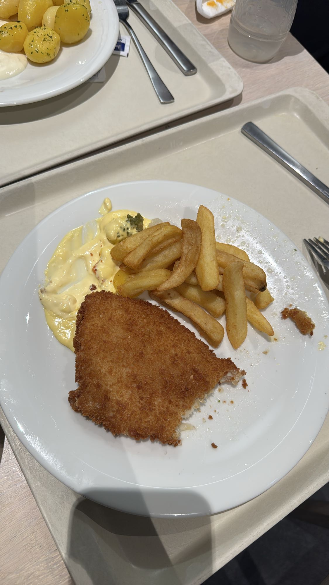 Poisson pané et frites