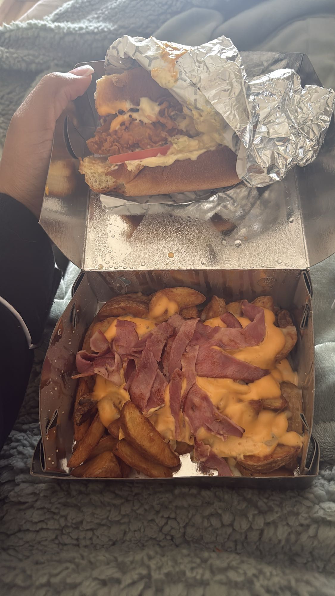Cheesy Bacon Sandwich & Fries