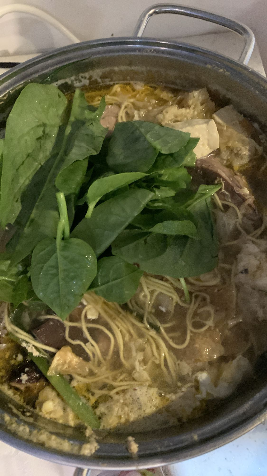 Spinach Noodle Hotpot