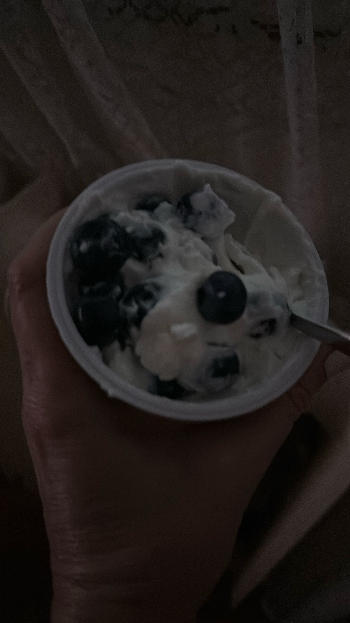 Blueberry Greek Yogurt
