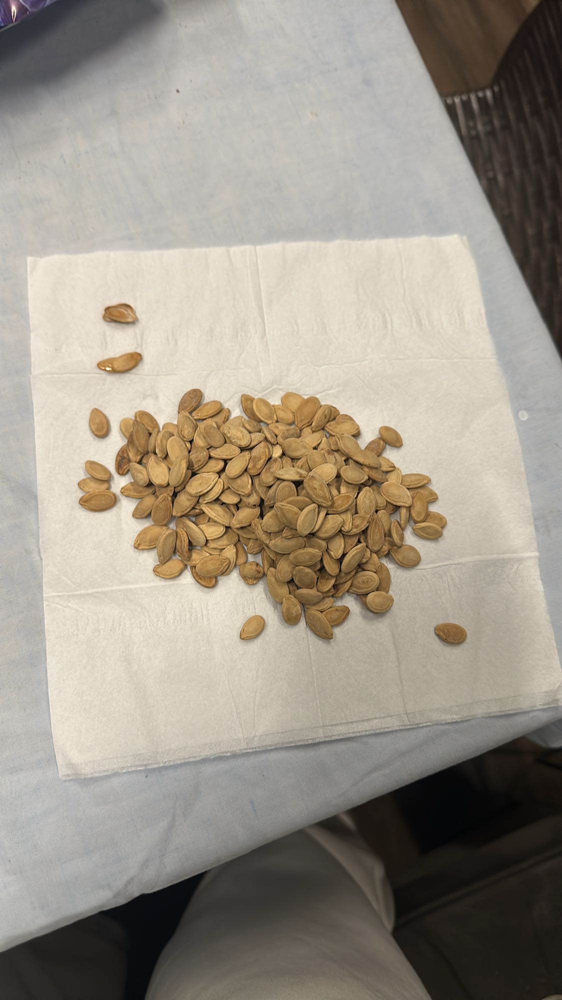 Roasted Pumpkin Seeds