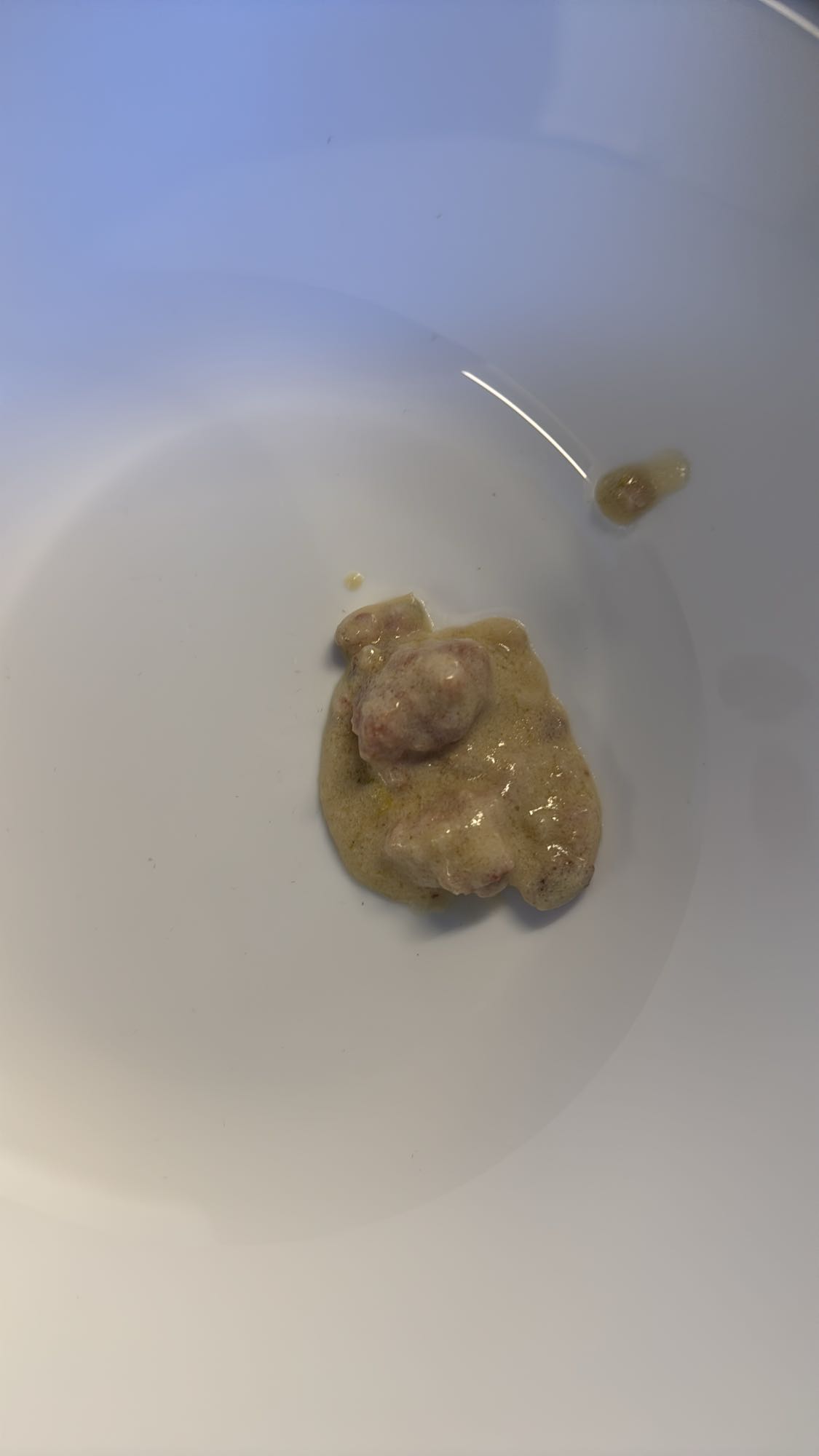 Köttgryta liten portion