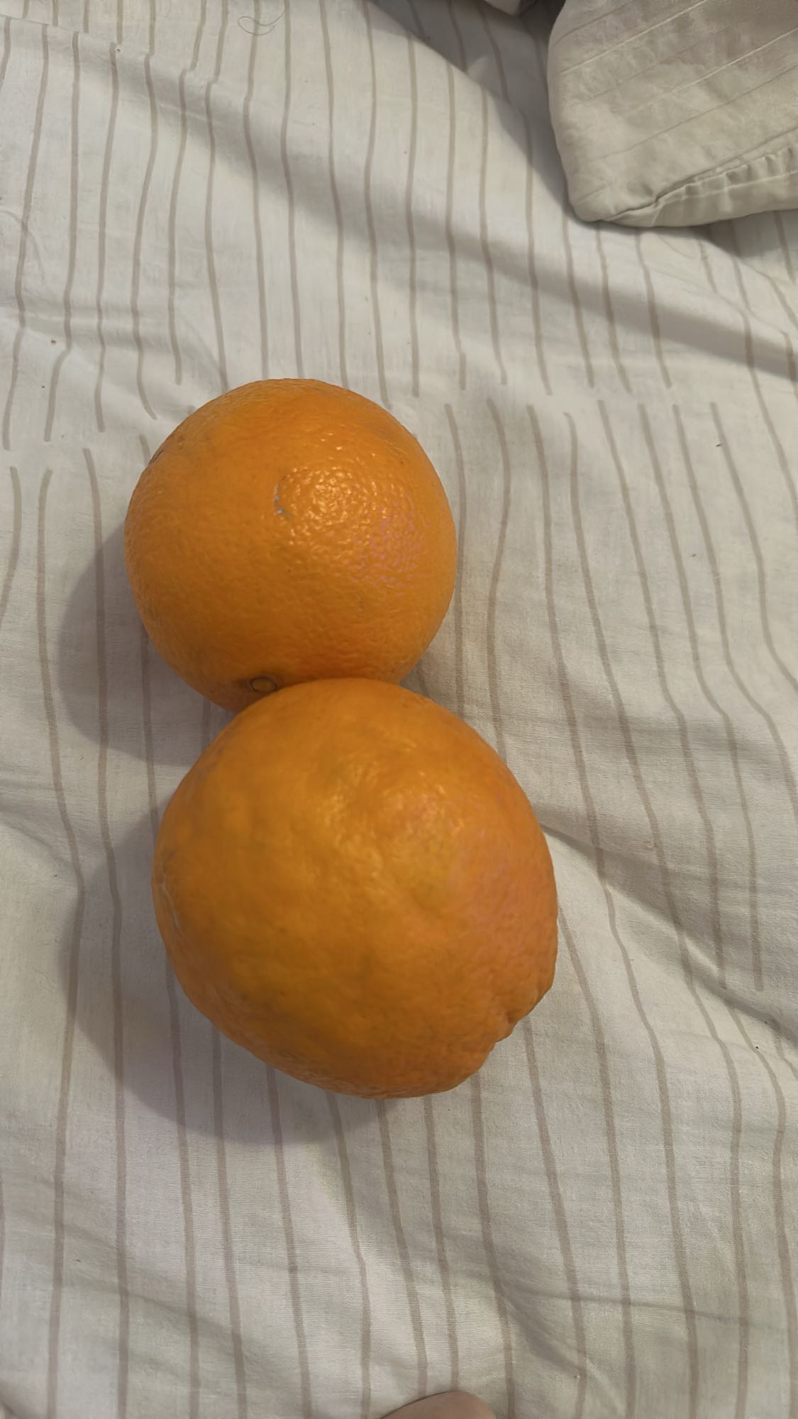 Fresh Oranges