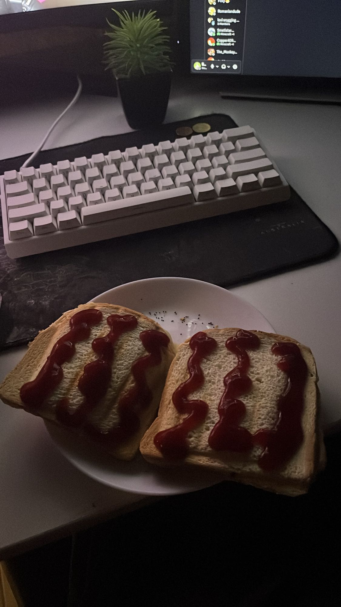 Rostbröd med ketchup