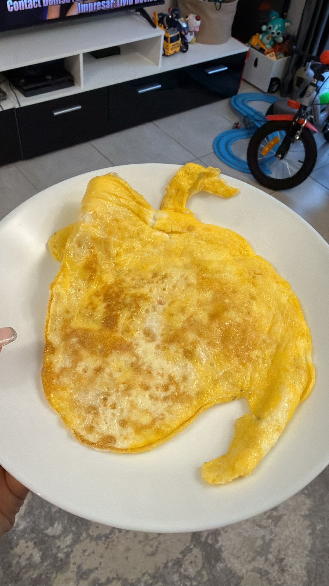 Omelette nature