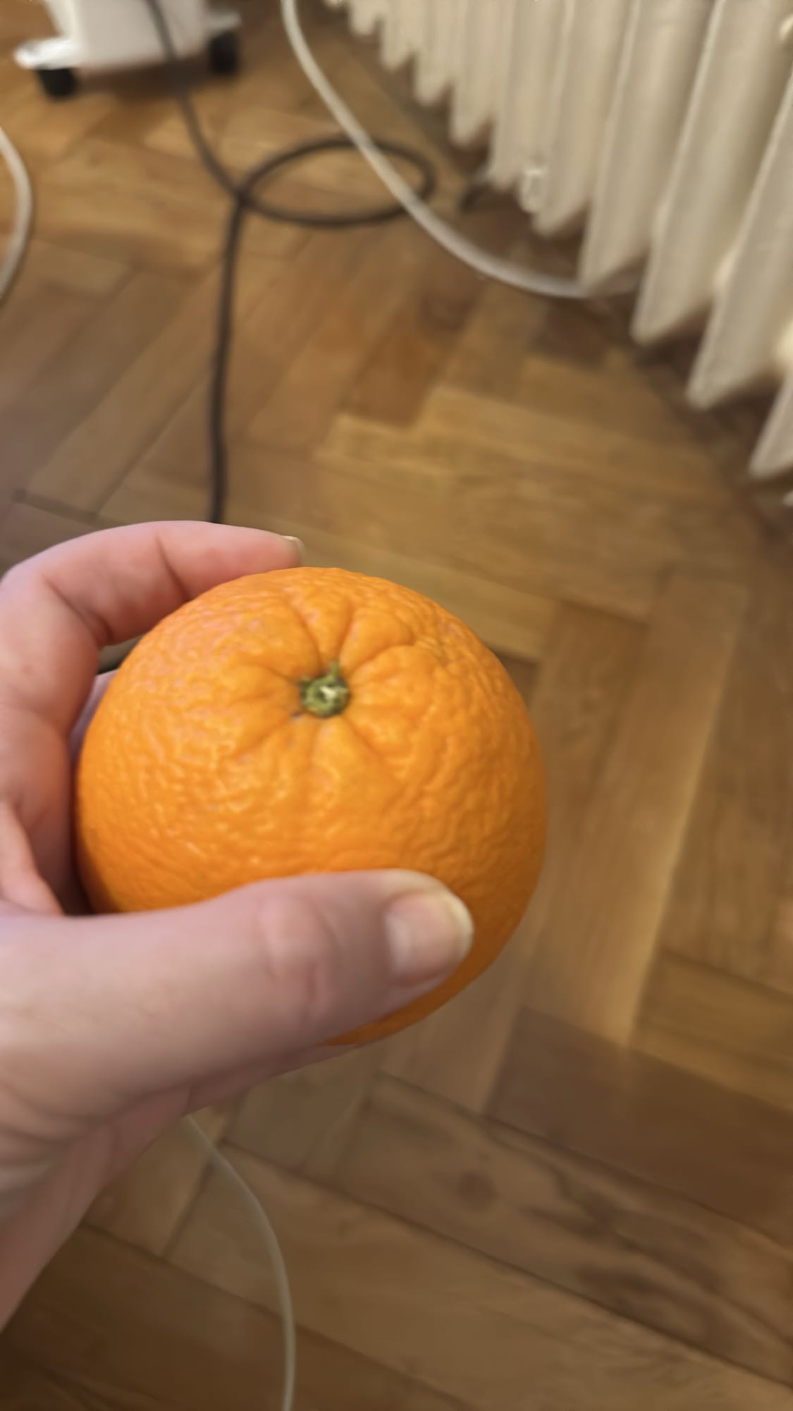 Whole Orange
