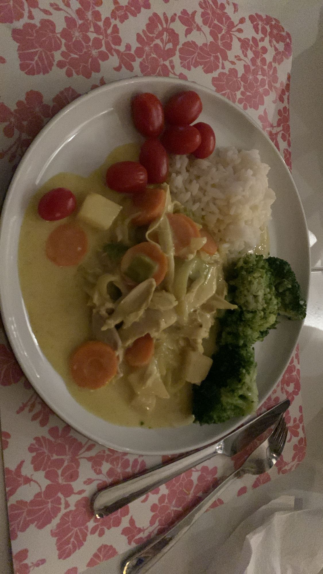 Kycklinggryta med ris