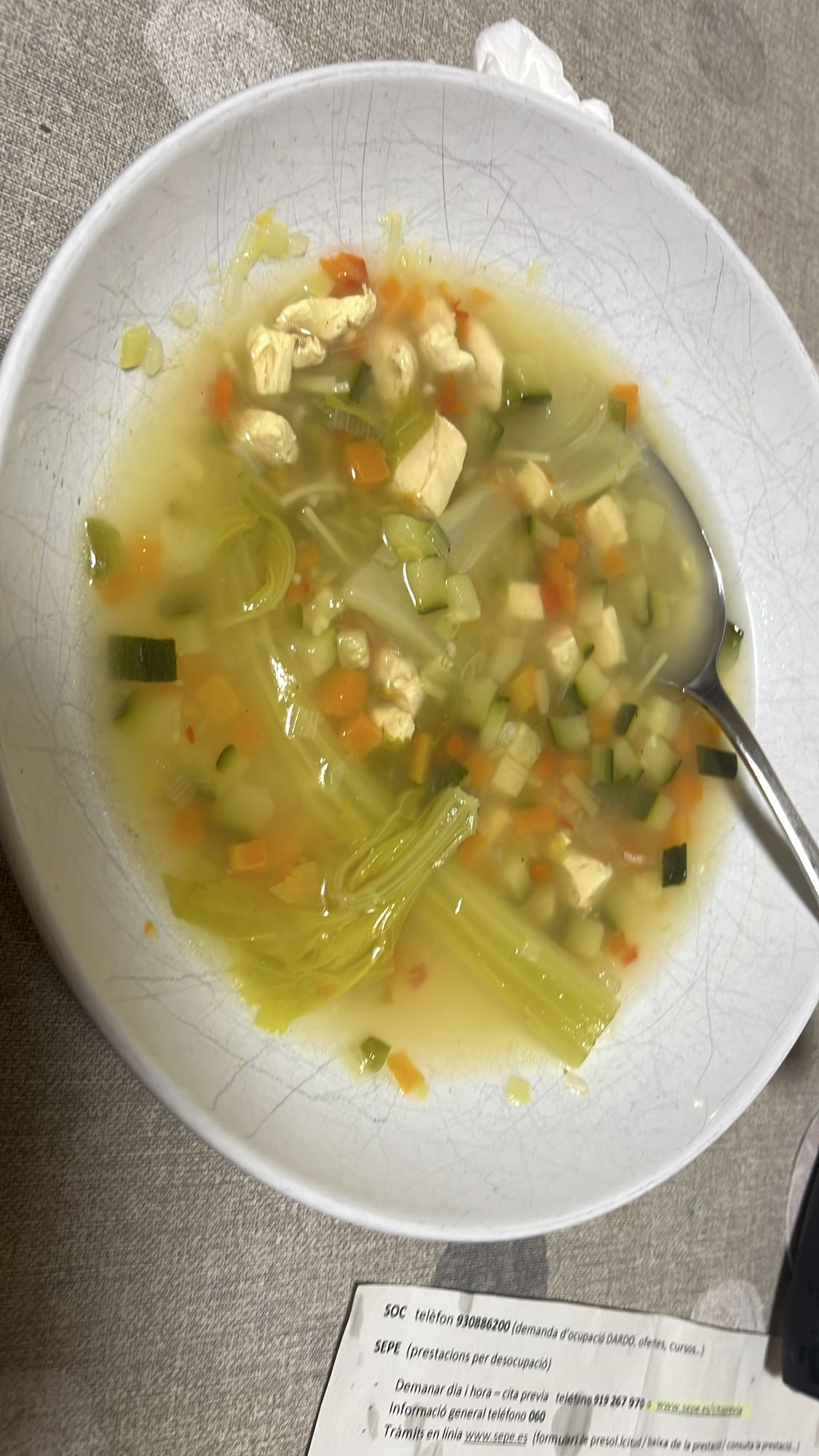 sopa de pollo y verduras