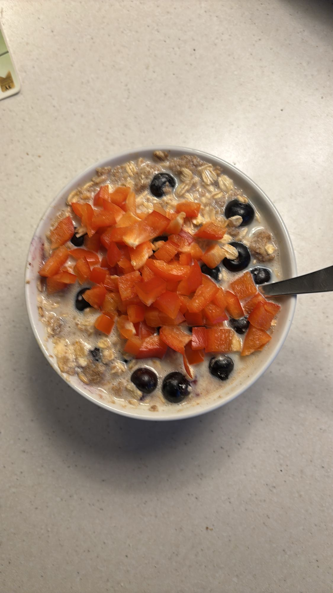 Havregrøt med knekkebrød og proteinpulver