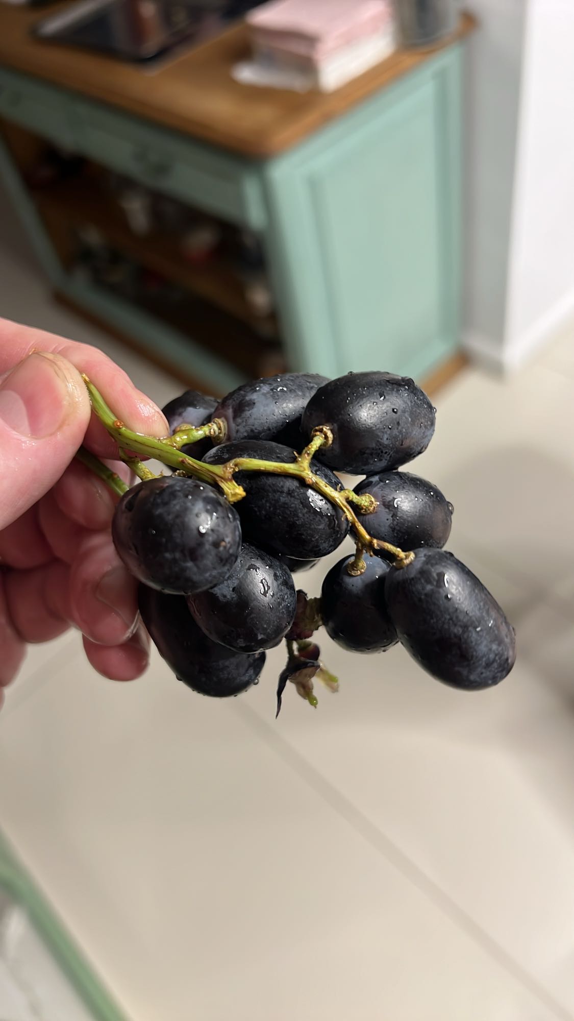 Struguri negri proaspeți