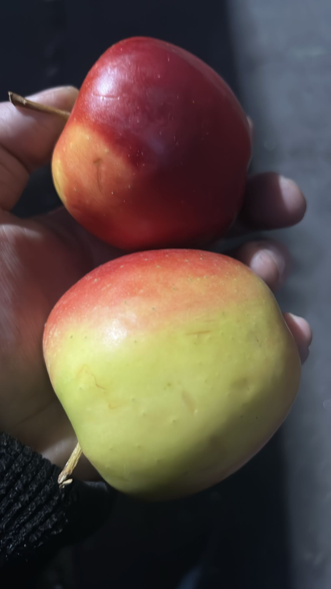 manzanas frescas