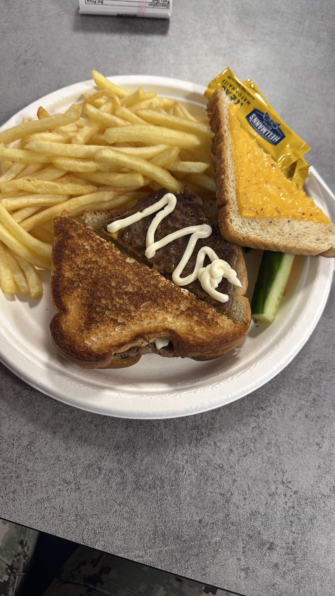 Burger melt with fries