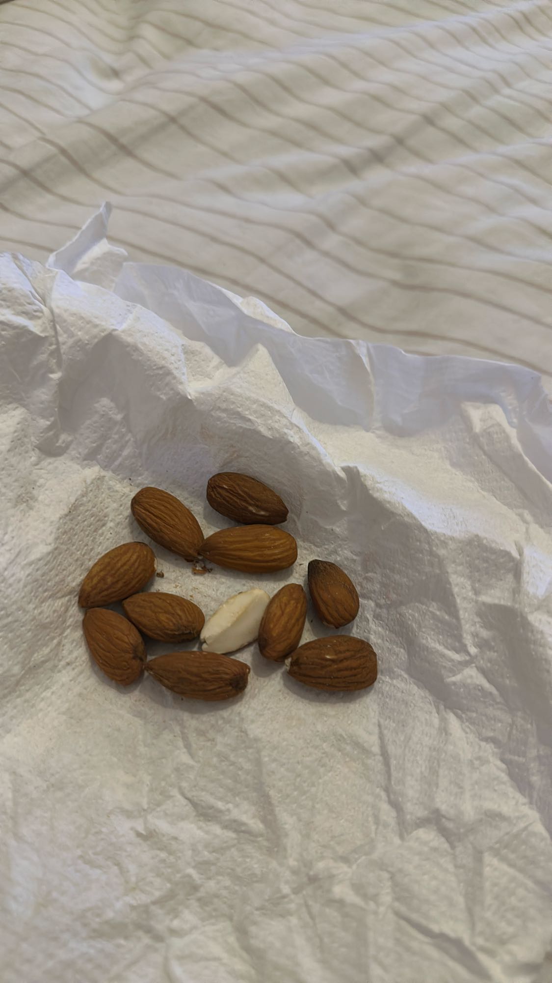 Raw Almond Snack