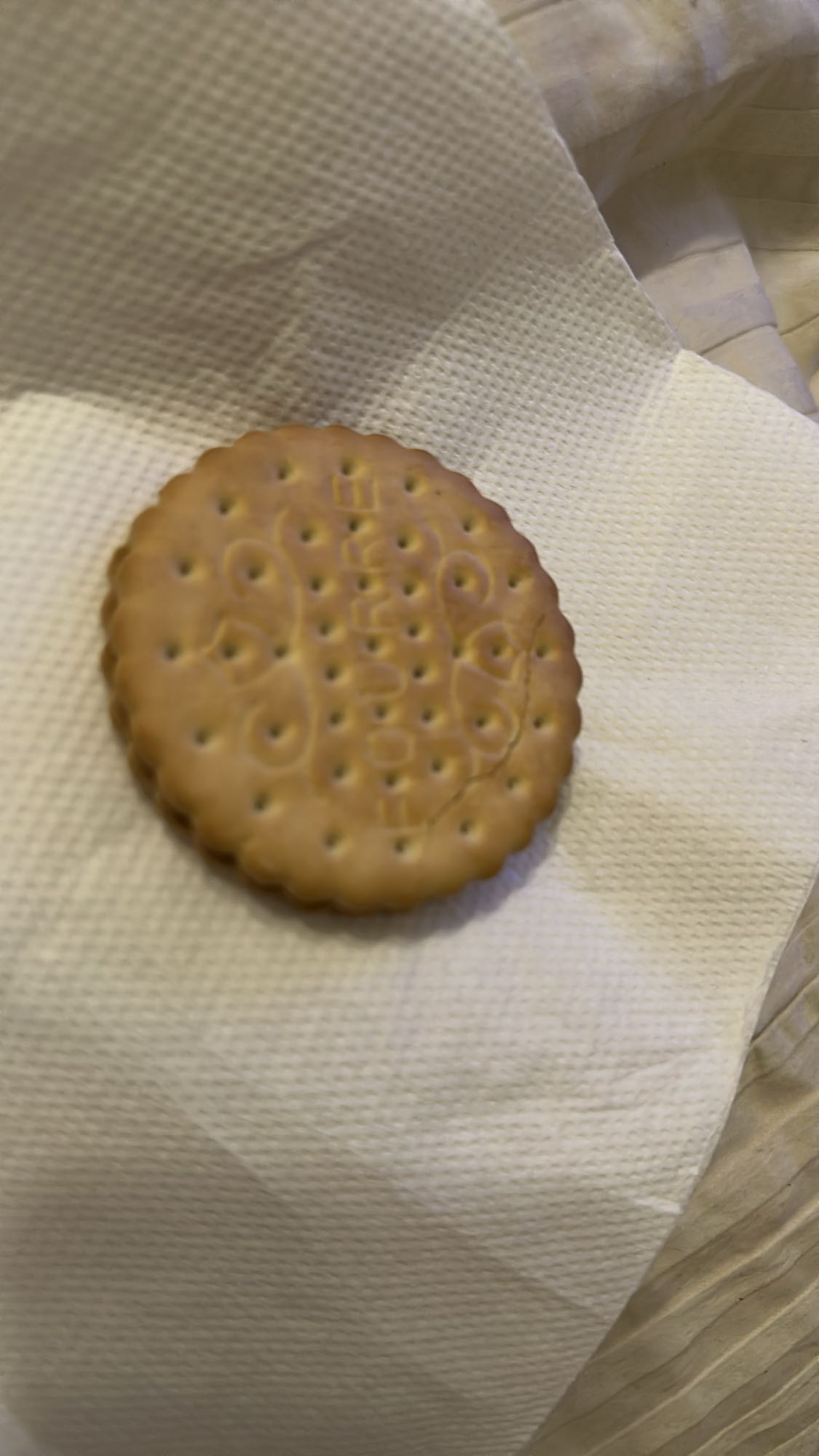 plain tea biscuit