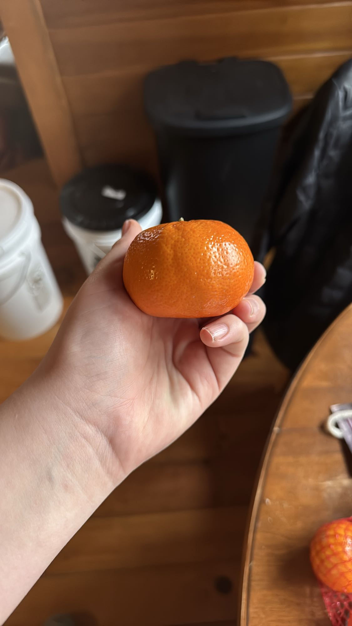Mandarin Orange Snack