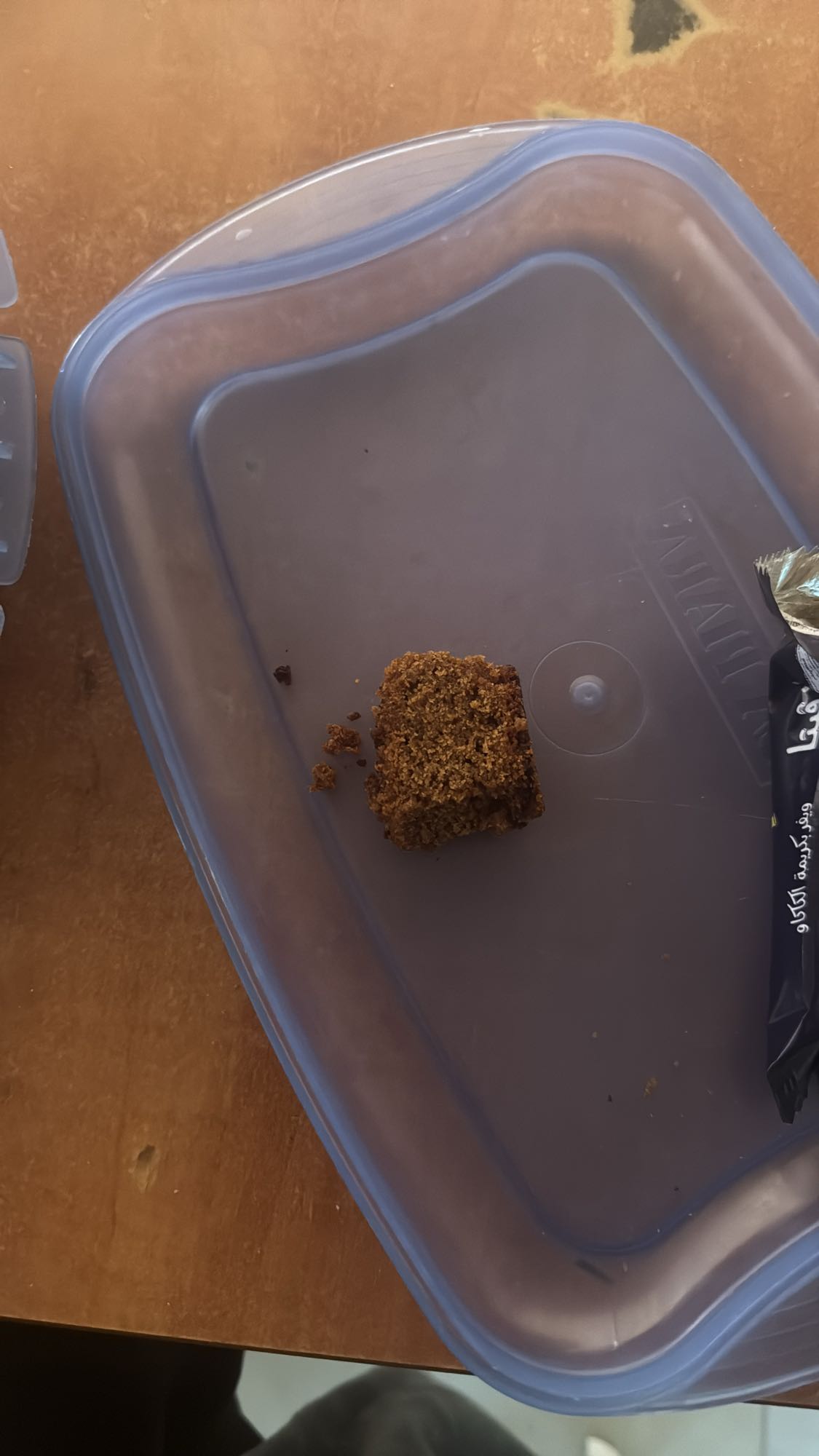 Chocolate wafer bite