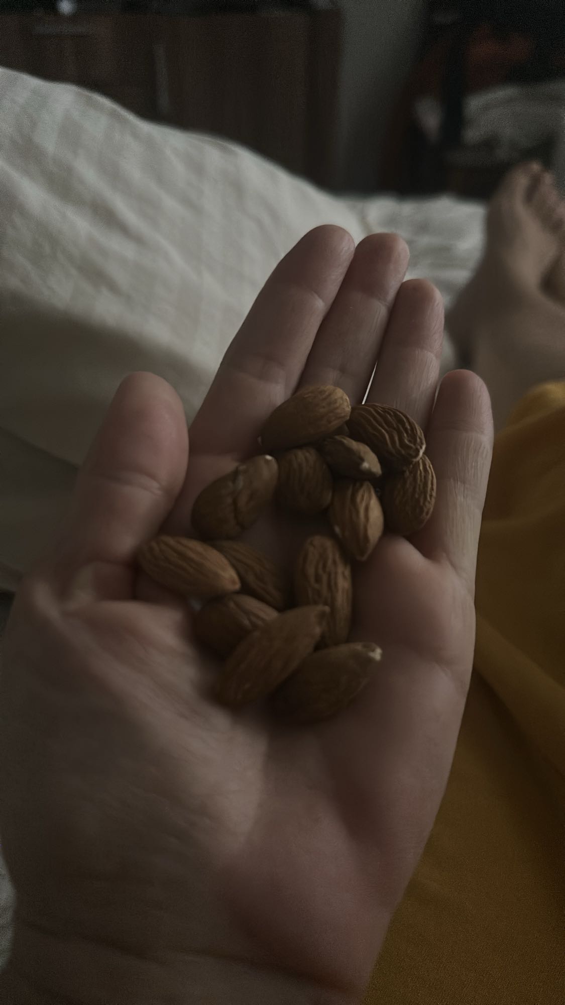 Handful of almonds