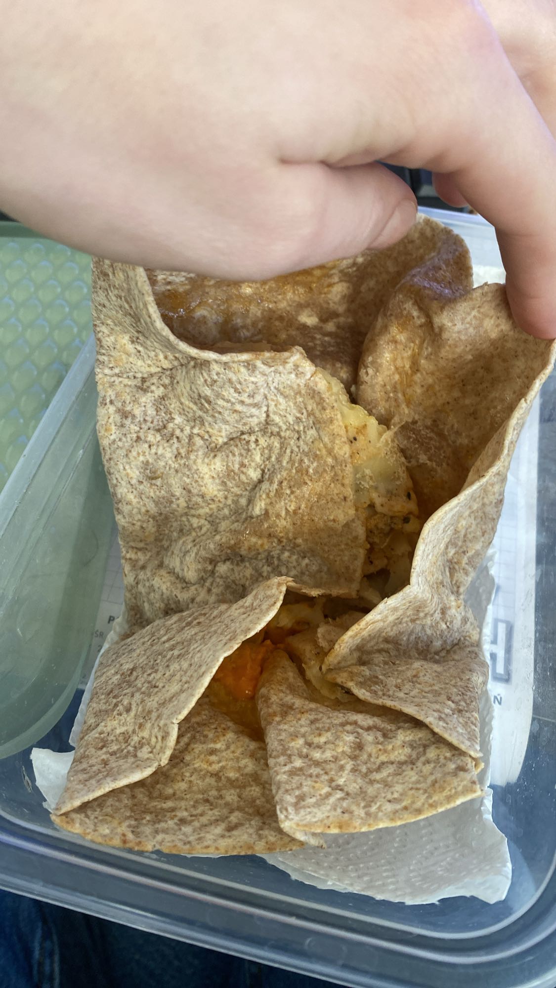 Wrap z warzywami i serem