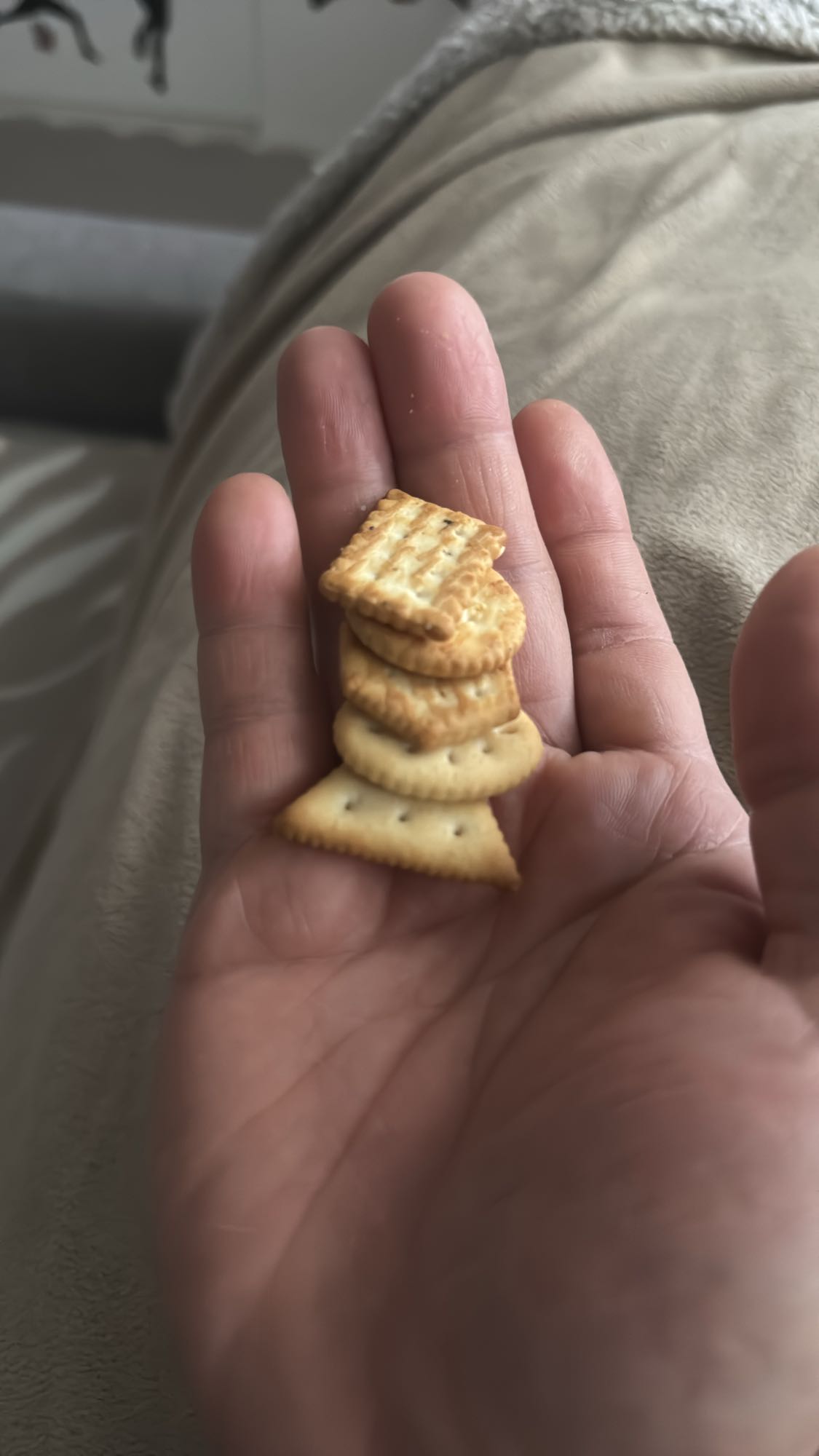 Småkex i handen