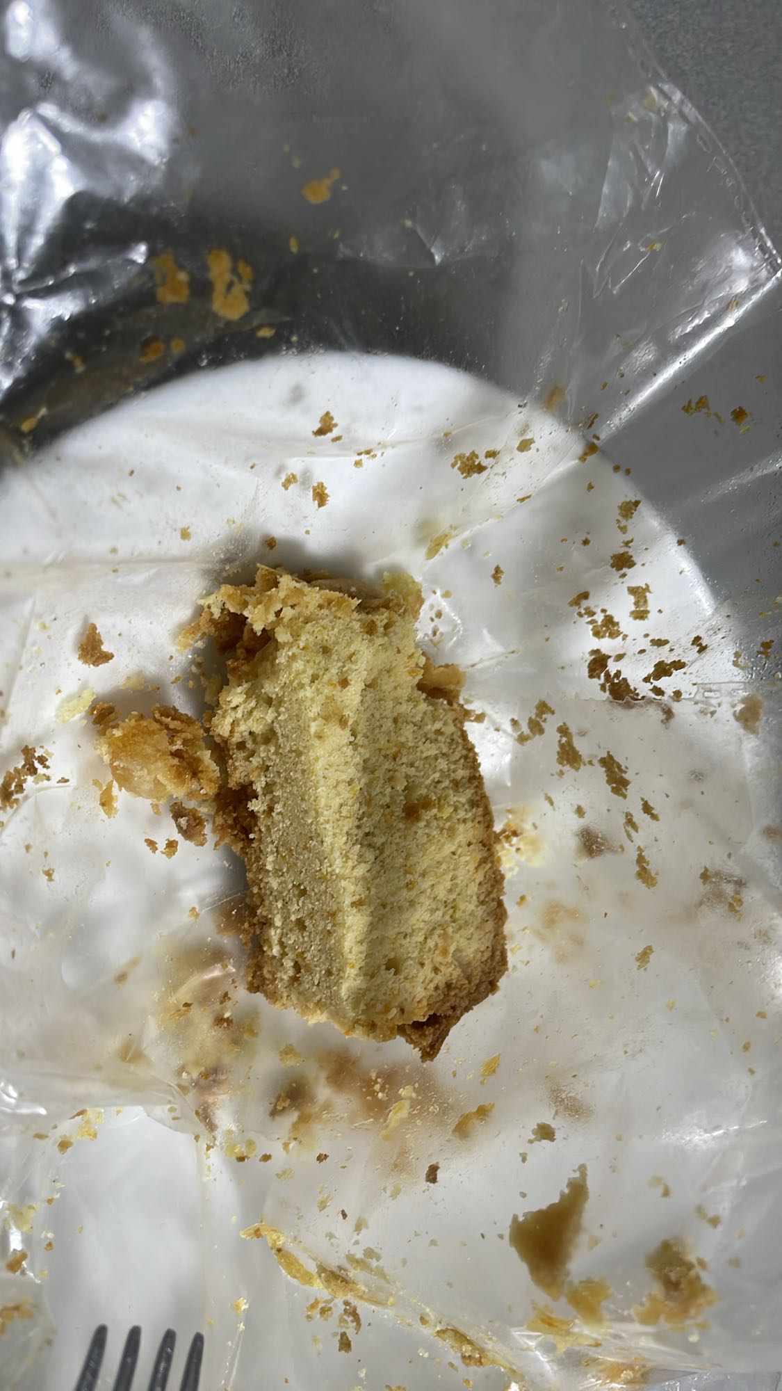 Vanilla Sponge Cake Slice