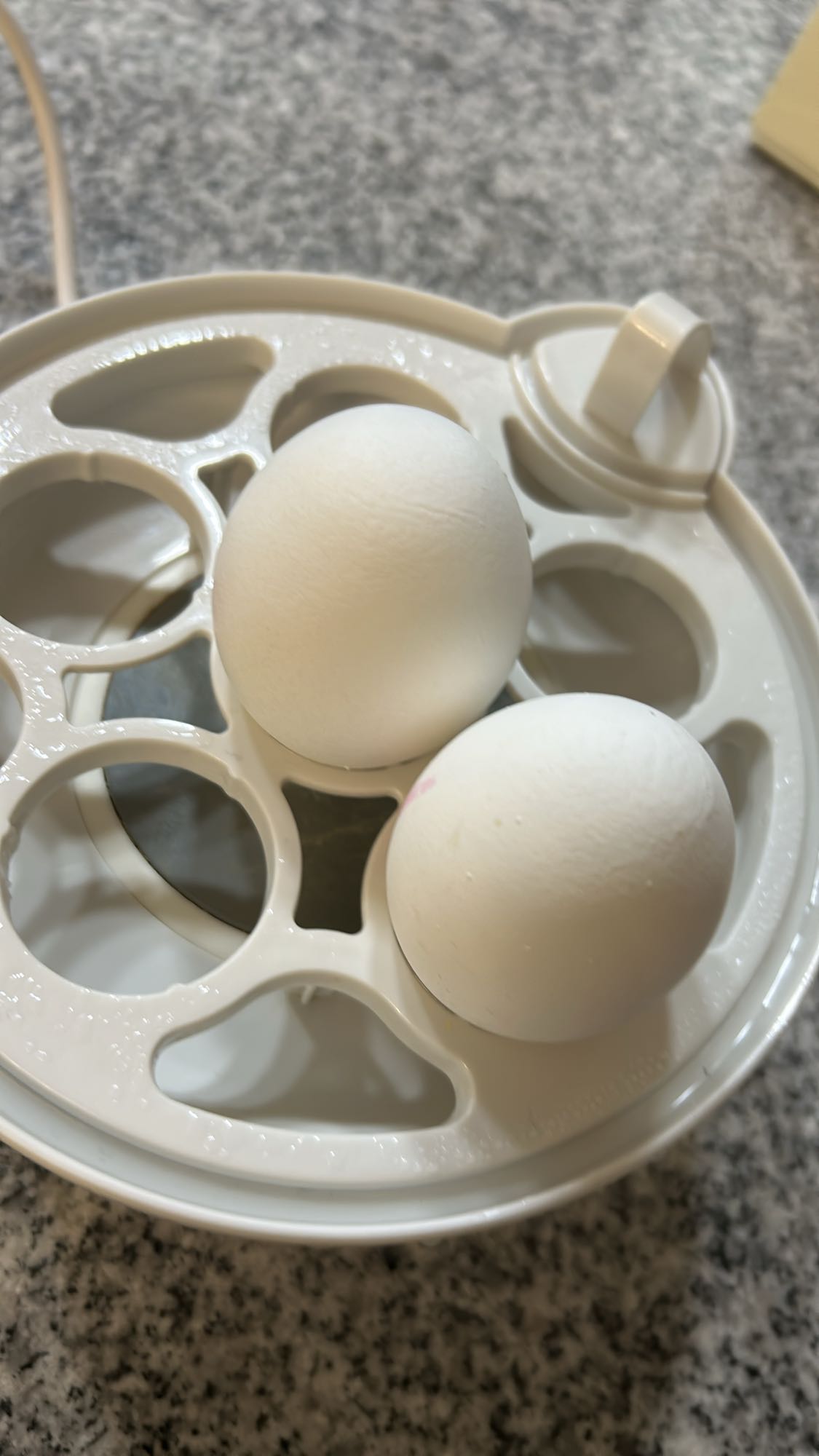 варёные яйца