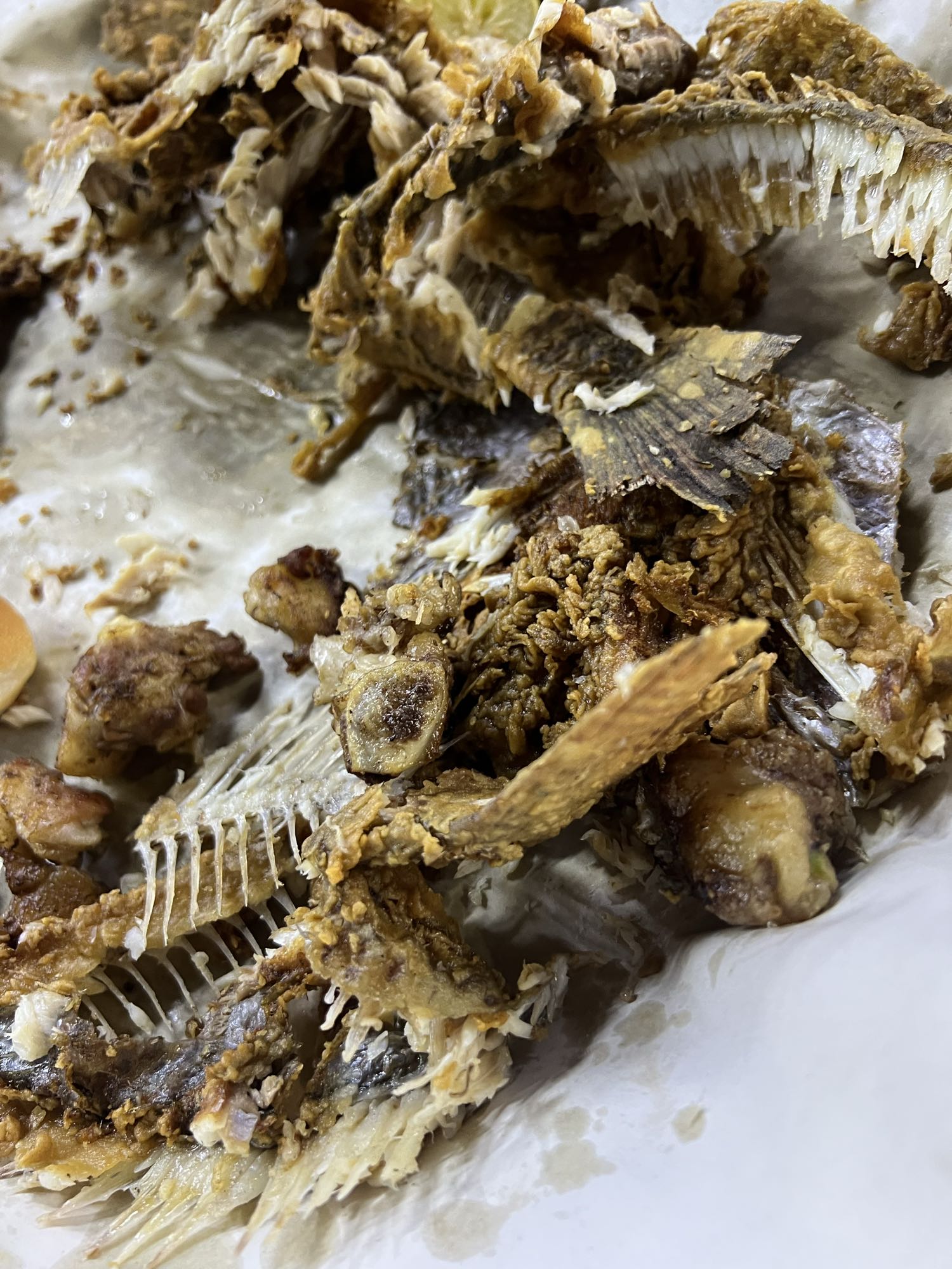 Fried Fish Remains