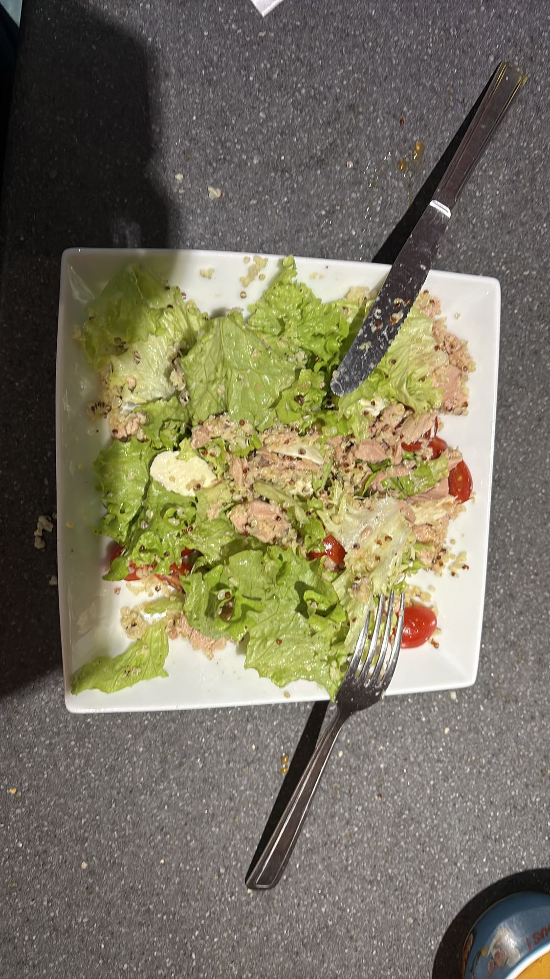 Salade thon quinoa mozzarella