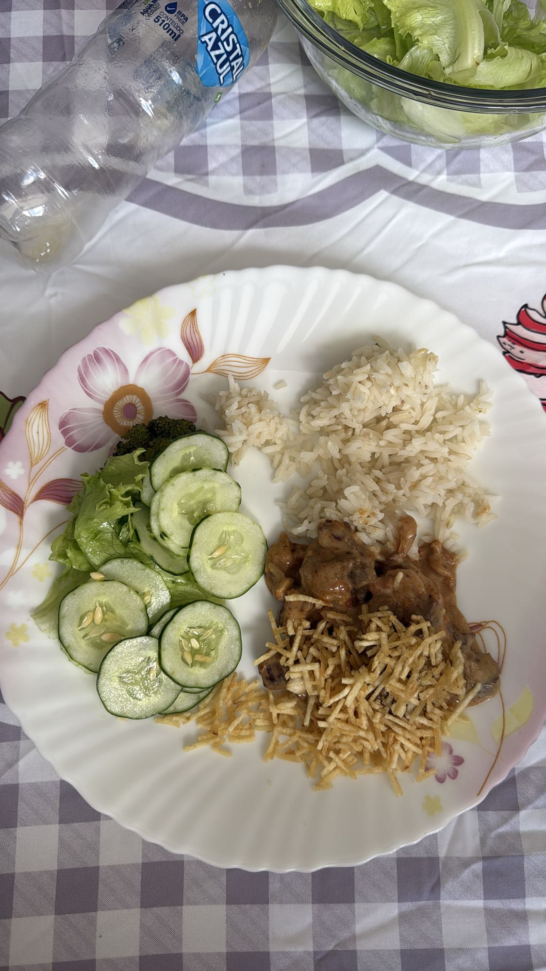 Arroz, salada e estrogonofe