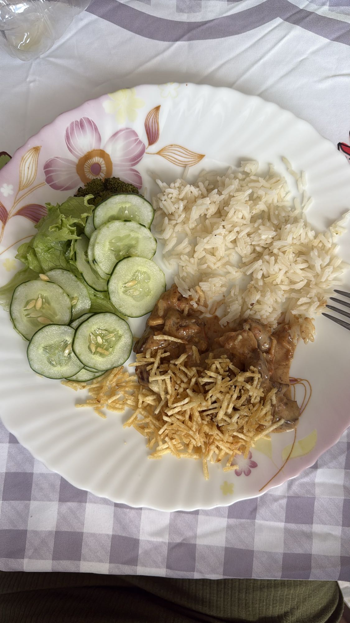 Strogonoff com arroz e salada