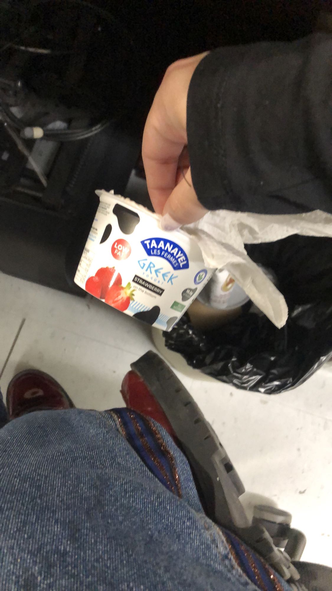 Strawberry Greek Yogurt