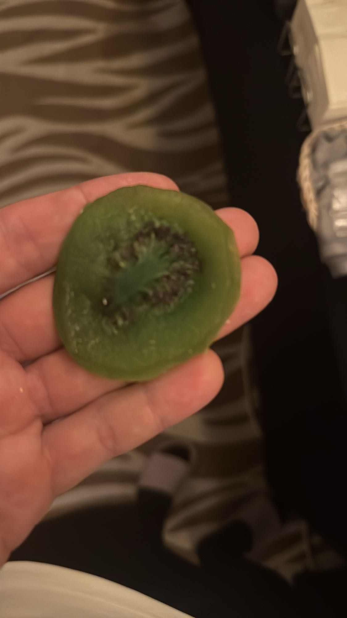 киви ломтик