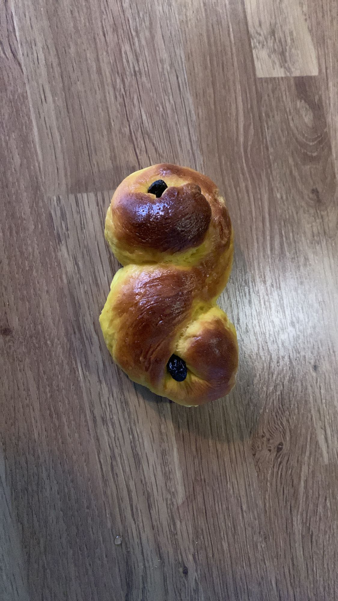 Lussekatt