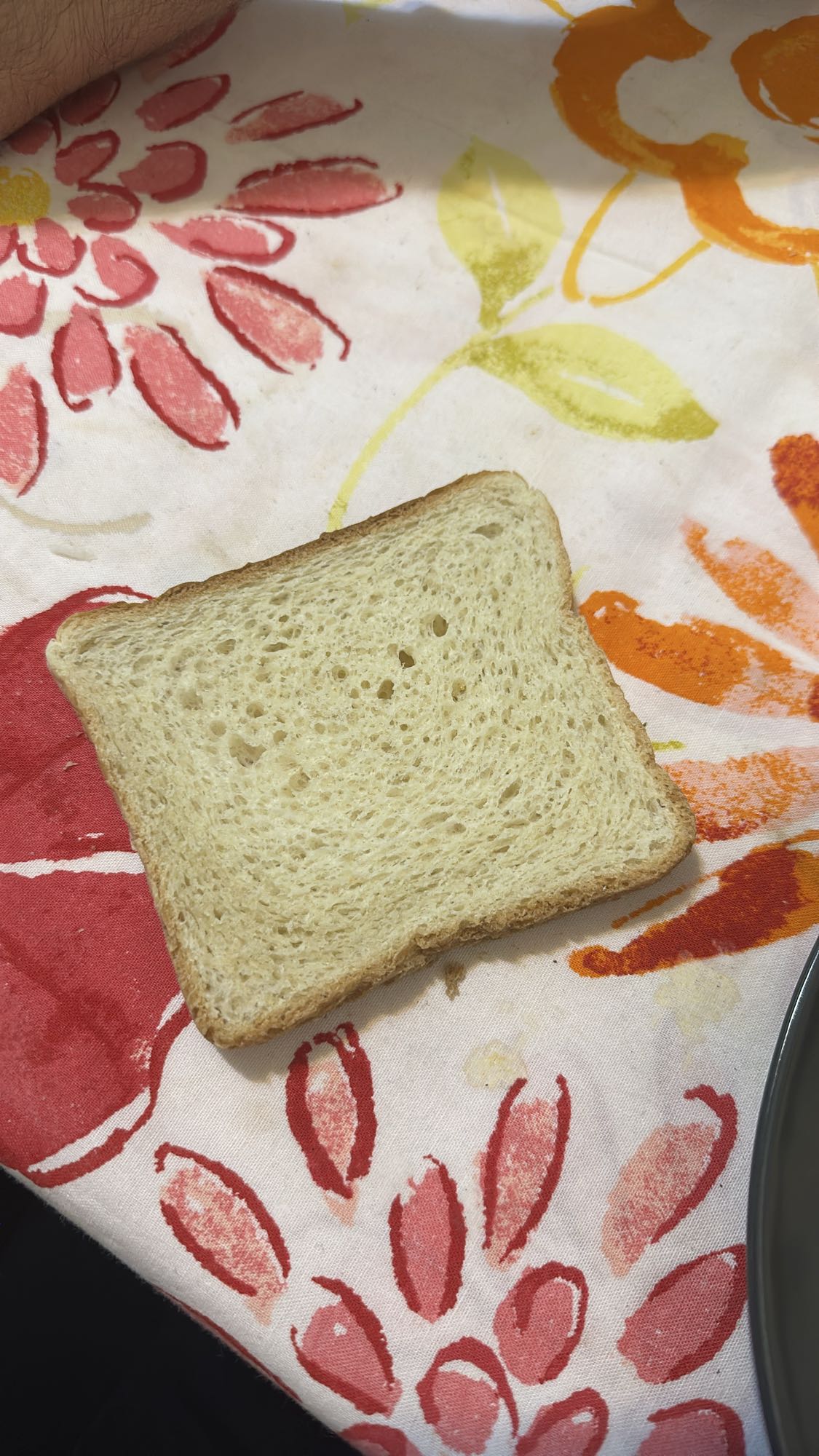 Plain White Bread Slice