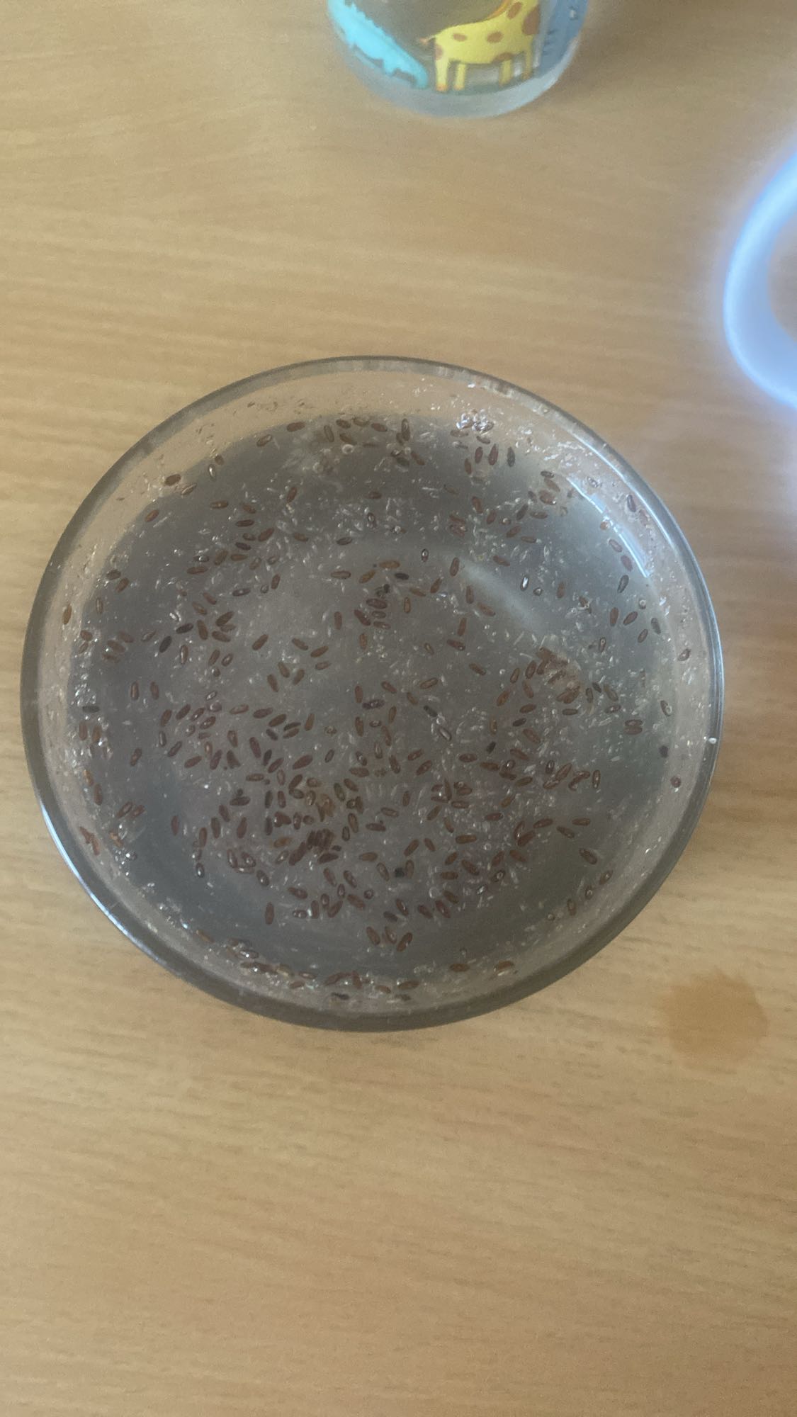 napój z siemieniem lnianym