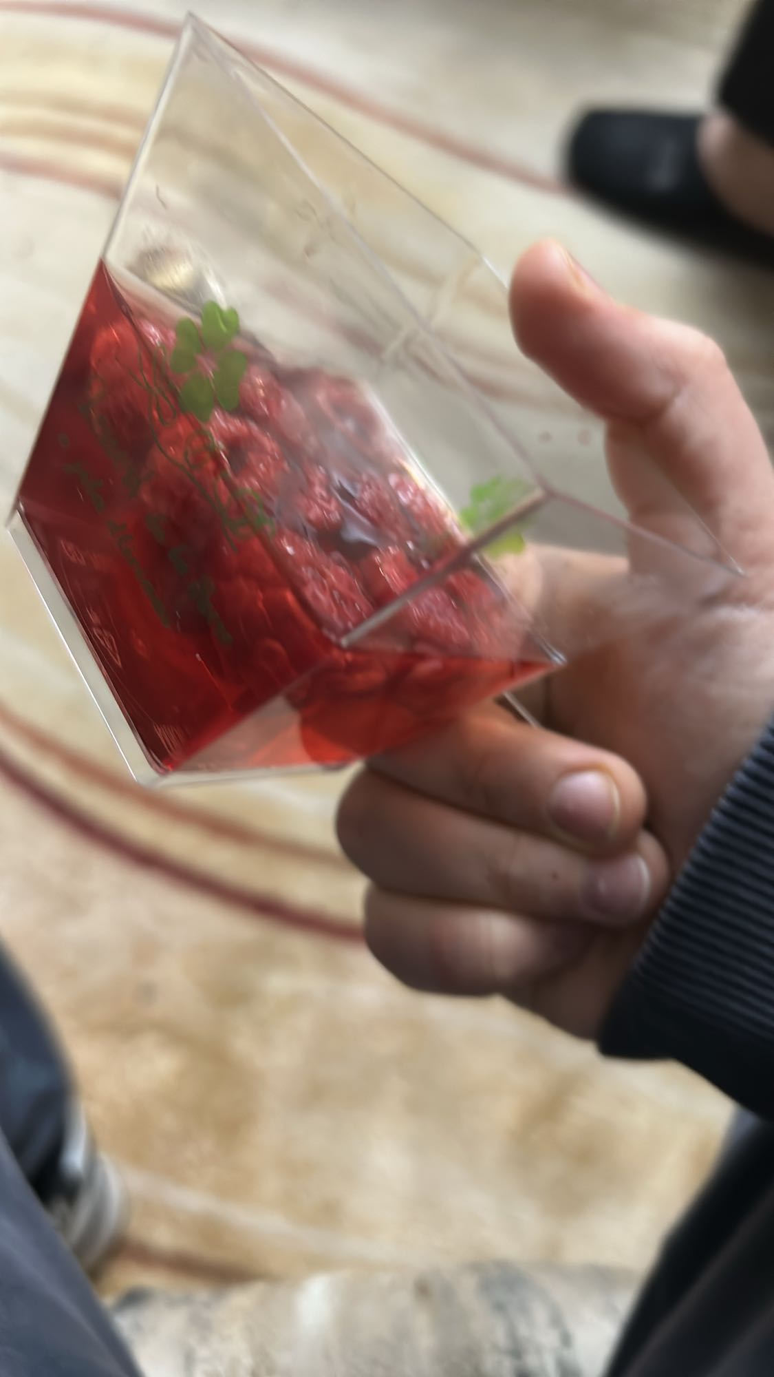 малиновое желе